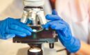 Pessoa analisando biopsia no microscópio