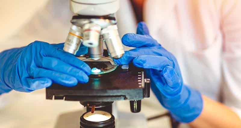 Pessoa analisando biopsia no microscópio