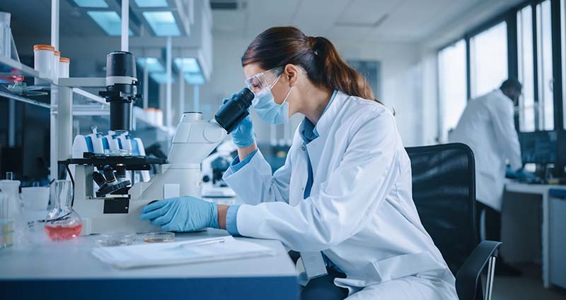 Verificando exame anatomopatológico do câncer de mama